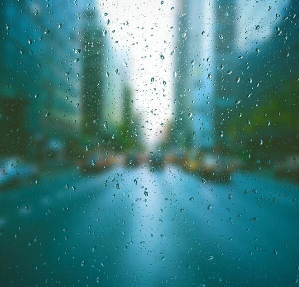 Website Authority SEO 662992188 for Traffic